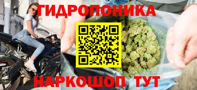гашишное масло Анапа